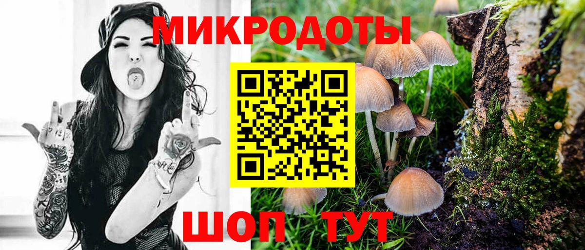 Галлюциногенные грибы Psilocybine cubensis Нурлат
